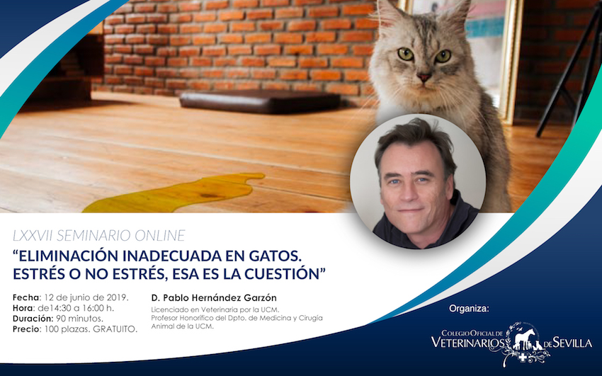 Webseminar sobre “Eliminación inadecuada en gatos. Estrés o no estrés, esa es la cuestión”