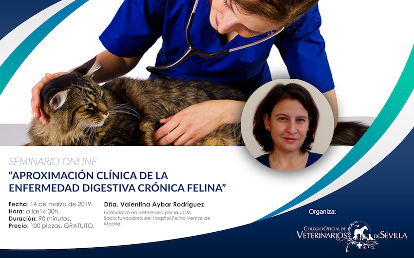 Seminario online Aproximación clínica de la enfermedad digestiva crónica felina