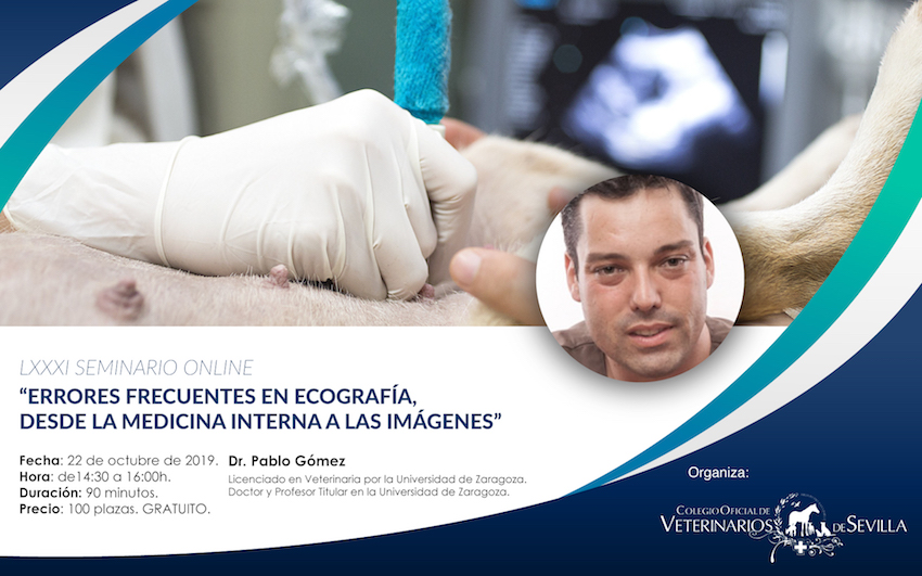 Seminario online “Errores frecuentes en ecografía, desde la medicina interna a las imágenes”