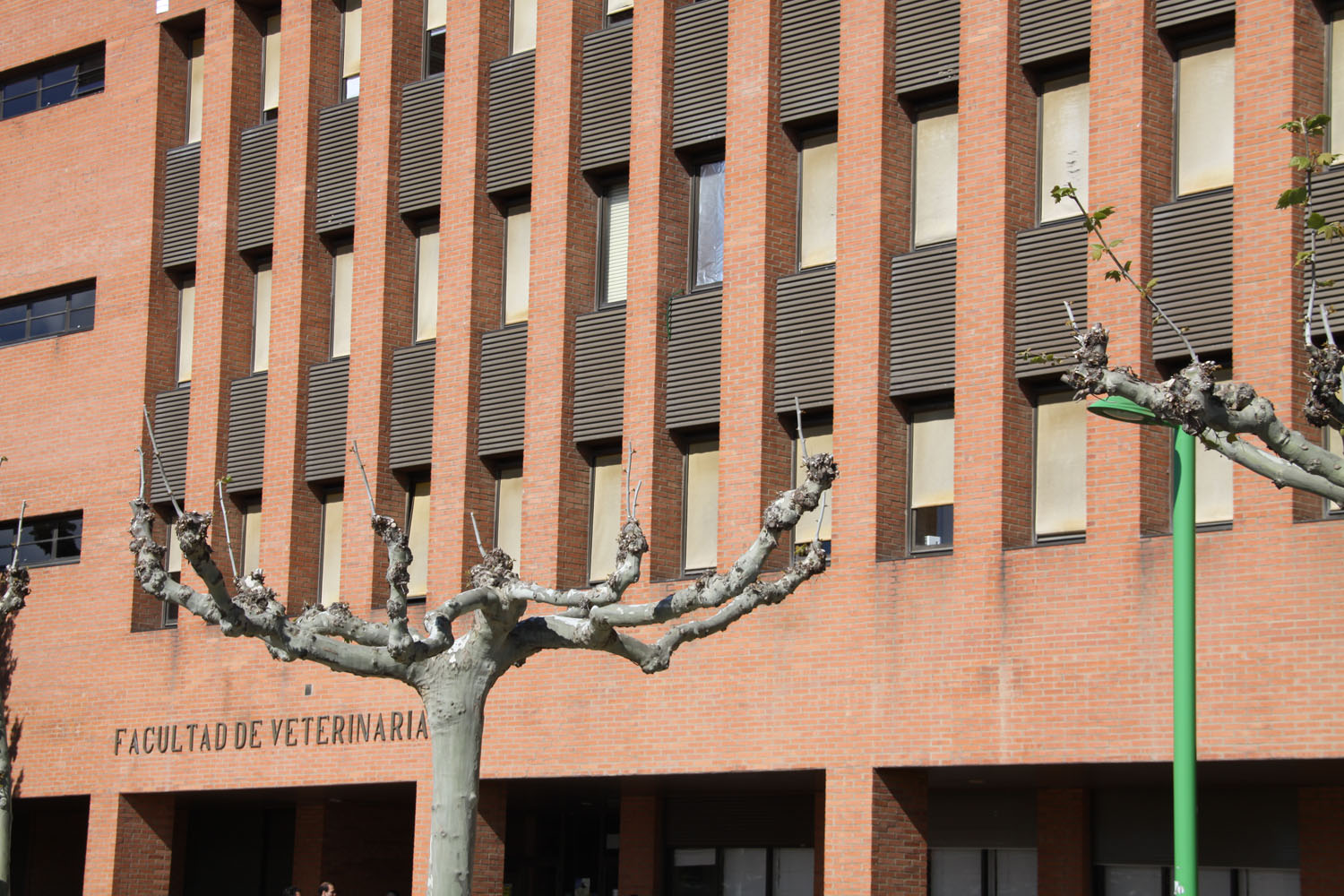 La evaluación de los estudios veterinarios