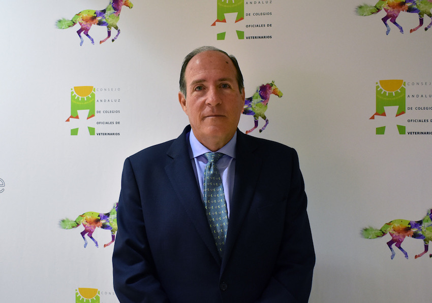 Los veterinarios, un punto clave en el Salón Internacional del Caballo, SICAB 2019