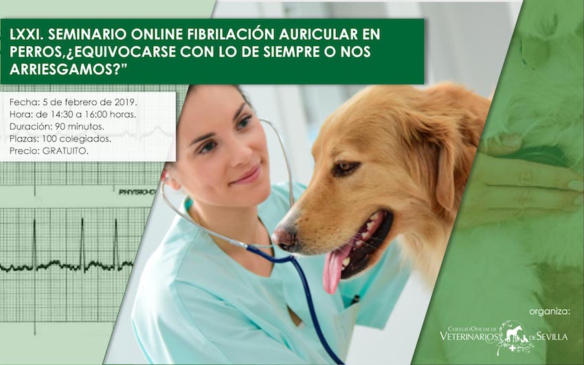 Seminario online “Fibrilación auricular en el perro, ¿equivocarse con lo de siempre o nos arriesgamos?”