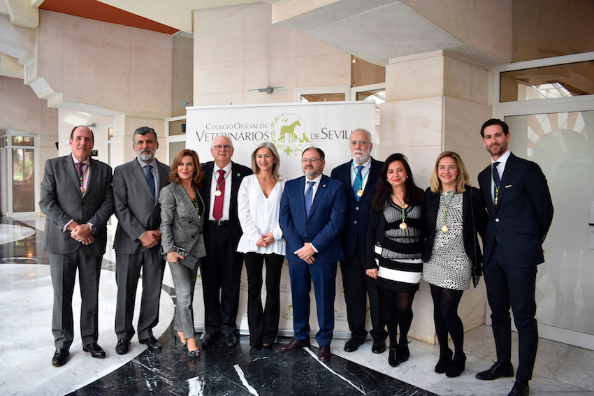 Acto de entrega de distinciones y admisión de nuevos colegiados del Colegio de Sevilla