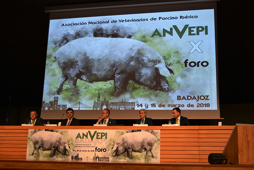 Altísima participación en el X Foro ANVEPI
