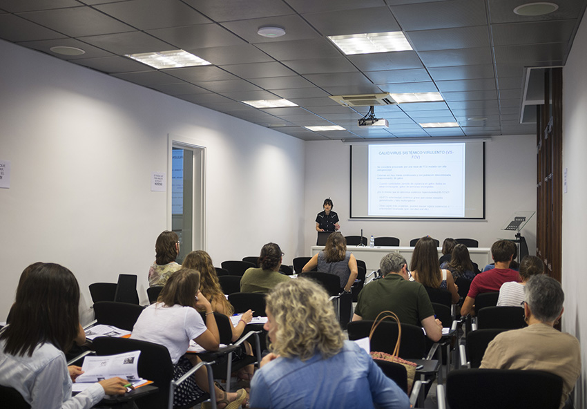 El Colegio de Baleares organizó en Palma una jornada de medicina de colonias felinas 