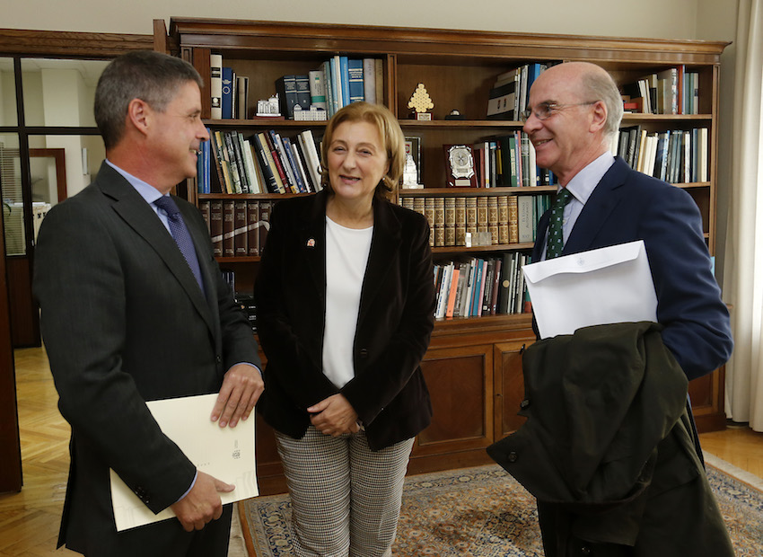 El Colegio de Asturias reivindica el carácter sanitario de la profesión