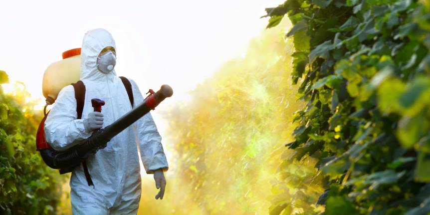 El Colegio de Cádiz organiza un  seminario web sobre la reemergencia y control del virus de la fiebre del Nilo