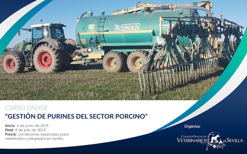 Curso online “Gestión de purines del sector porcino”