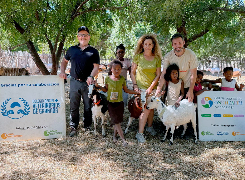 El proyecto de mejora genética de la cabaña ganadera de Madagascar logra la inseminación de las 38 primeras cabras