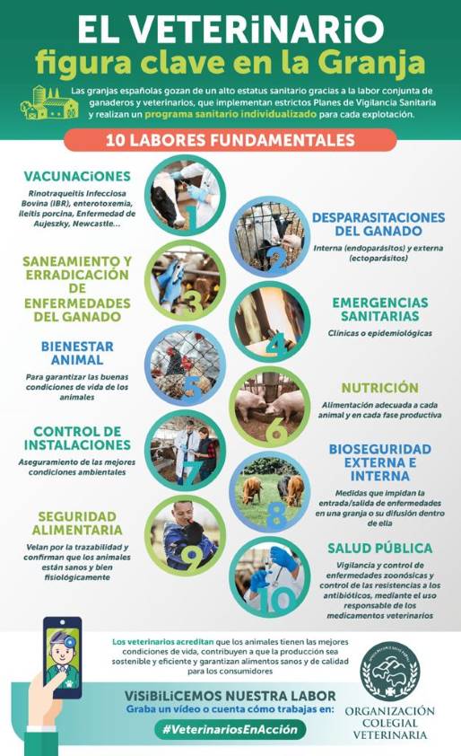 Las granjas españolas poseen un alto estatus sanitario gracias a la labor conjunta de ganaderos y veterinarios