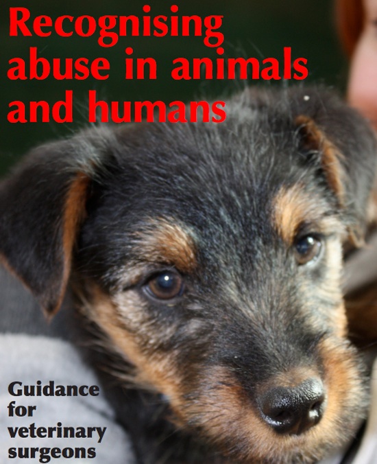 Relación entre maltrato animal y maltrato humano