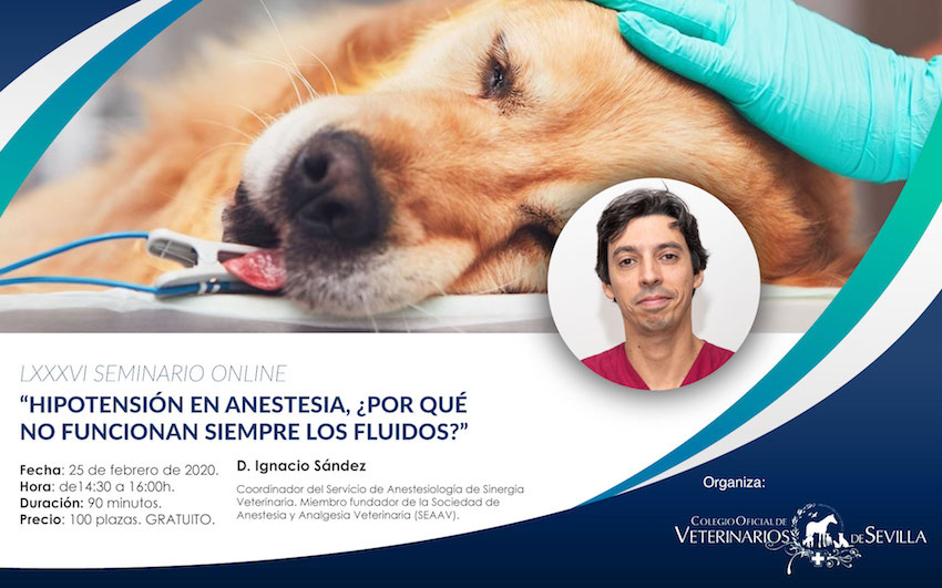 Seminario online: "Hipotensión en anestesia, ¿por qué no funcionan siempre los ﬂuidos?”