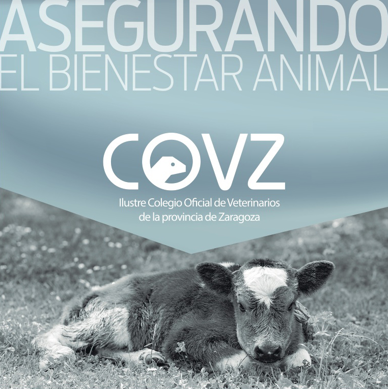 Campaña multimedia de sensibilización “Asegurando el bienestar animal”