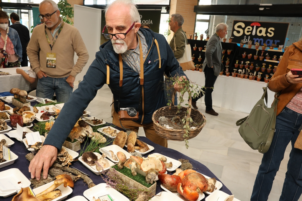 Huelva, escenario del III Congreso Andaluz de Micología que compendia ciencia, gastronomía y turismo