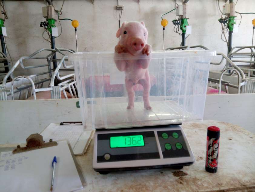 El Colegio de Veterinarios de Huesca convoca su X Concurso Fotográfico