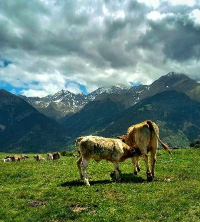 Fallados los premios de la décimotercera edición del concurso fotográfico del Colegio de Huesca