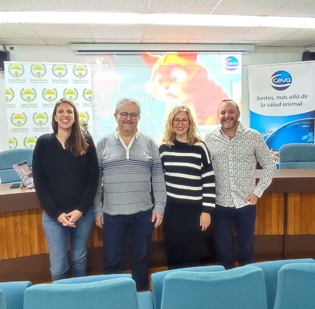 Belén Montoya charla sobre medicina felina con los veterinarios del Colegio de Huesca