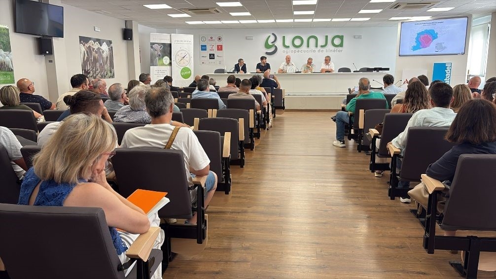 PPA: Especialistas subrayan la importancia de la bioseguridad, del trabajo conjunto y del control poblacional del jabal&iacute;