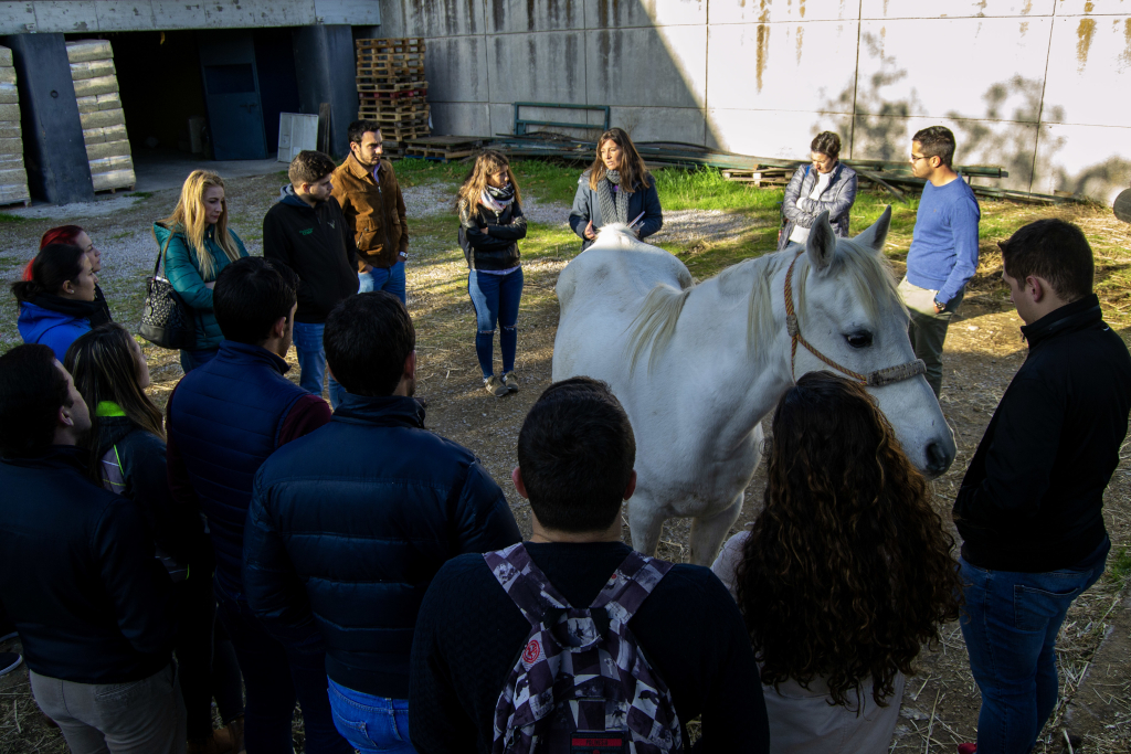 40 veterinarios realizan el Taller de Identificación Equina