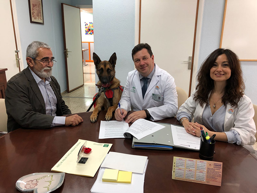 El Puerta del Mar y el Colegio gaditano firman un acuerdo para desarrollar el programa solidario de visitas animales a centros hospitalarios