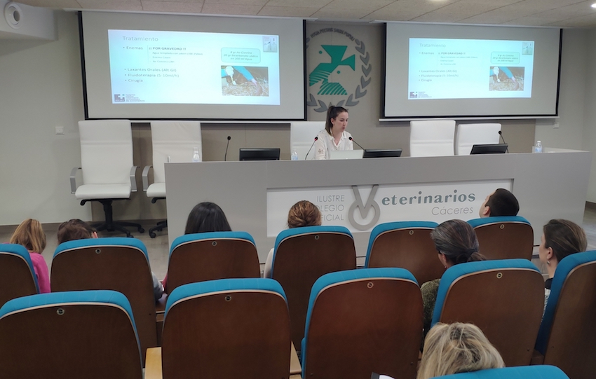 50 Veterinarios preparan en Cáceres el examen para obtener el Certificado Español en Clínica Equina