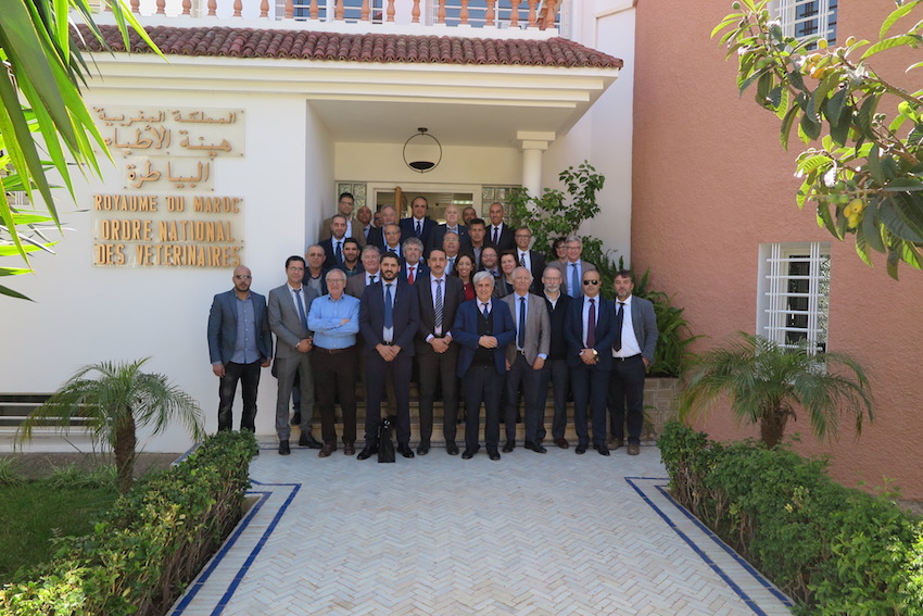 El Consejo General de Colegios Veterinarios de España firma un Acuerdo Marco de colaboración con la Orden Nacional de Veterinarios de Marruecos