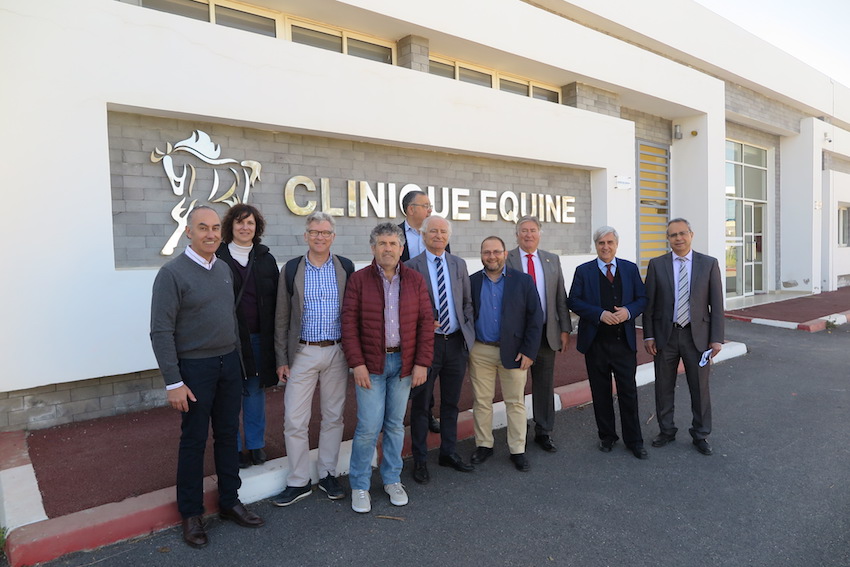 Una delegación del Consejo General visitó las instalaciones del Instituto Agronómico y Veterinario Hassan II en Rabat