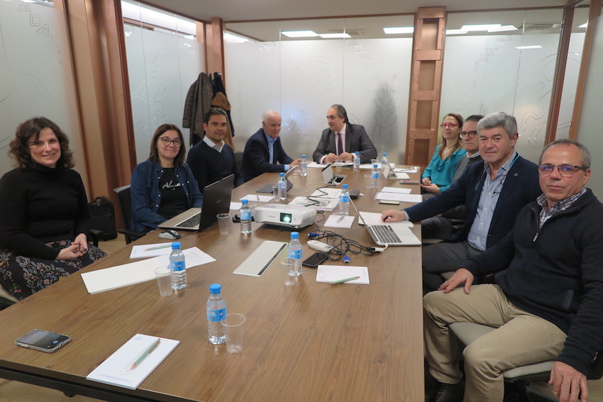 La Conferencia de Decanos, AVEPA y AMVAC participan en la mesa de trabajo del Consejo General para conformar el proceso de especialización en Pequeños Animales