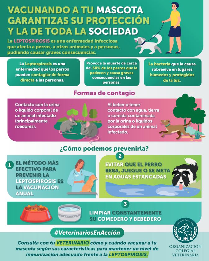 La OCV insiste en la importancia de la prevención de enfermedades como la rabia o la leptospirosis a través de la vacunación