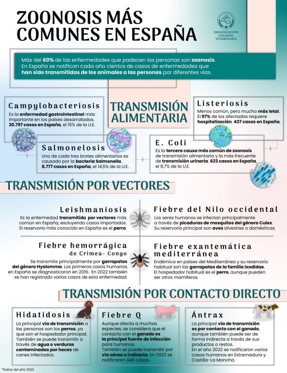 España notifica cada año más de 30.000 casos de enfermedades transmitidas de los animales a las personas 
