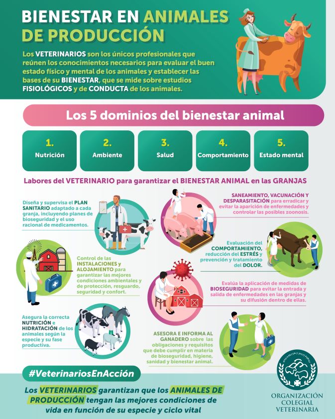 La OCV precisa que el bienestar animal "no es una cuestión ideológica, sino una ciencia basada en criterios técnicos y objetivos”