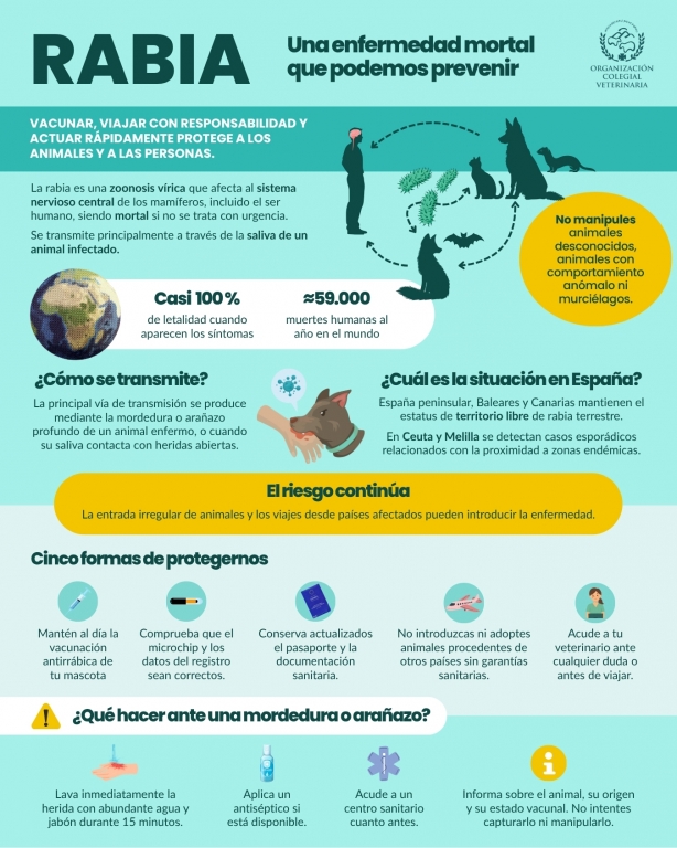 La vacunaci&oacute;n antirr&aacute;bica es clave en los planes de salud contra enfermedades infecciosas y en los de respuesta r&aacute;pida para prevenir su propagaci&oacute;n