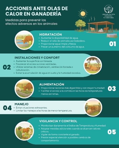 Los veterinarios destacan las medidas b&aacute;sicas de bienestar en animales de producci&oacute;n ante las altas temperaturas