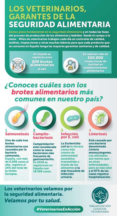 La OCV recuerda que una correcta manipulación y conservación de los alimentos en los hogares podría evitar más del 50% de las intoxicaciones