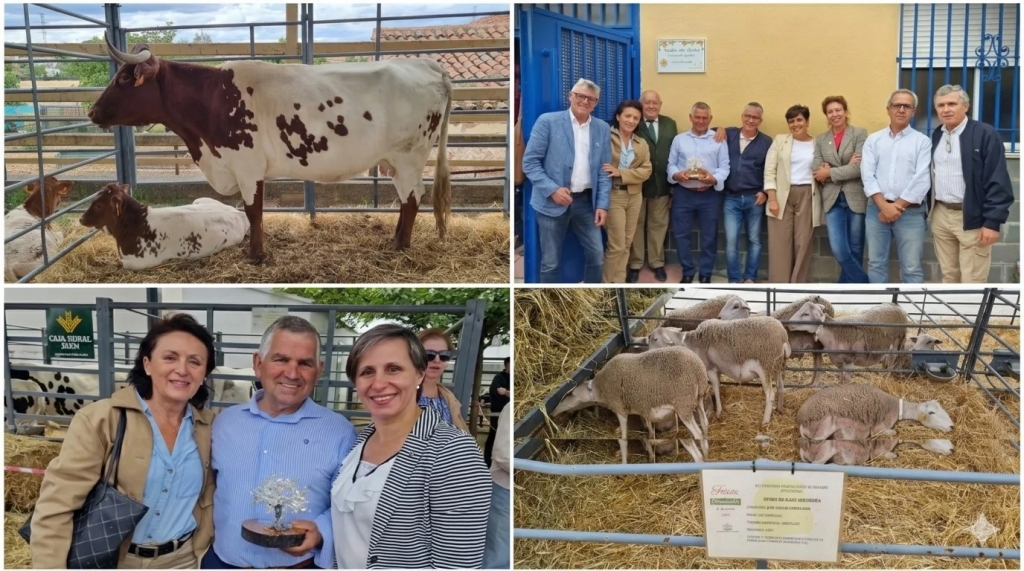 El Colegio de Ja&eacute;n refuerza su presencia en agenda social, cultural y cient&iacute;fica de la provincia durante el mes de mayo