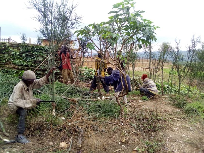 El Colegio de Jaén apoya un proyecto solidario de mejora alimentaria en Burundi