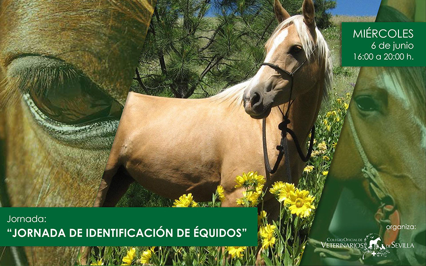 Jornada de identificación de Équidos