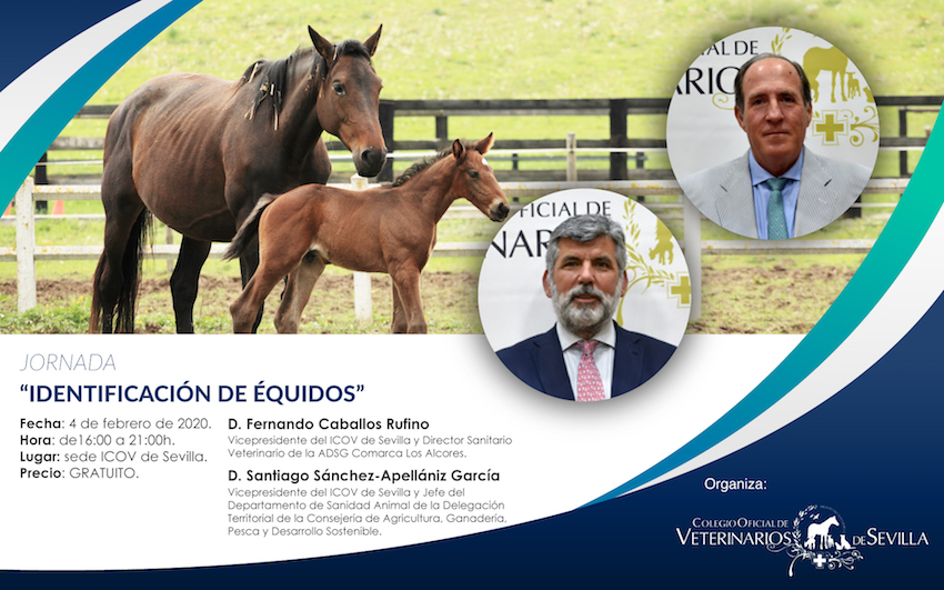 Jornada de Identiﬁcación de Équidos