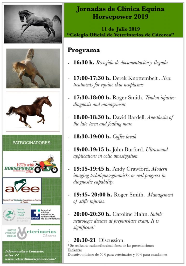 Jornada de Clínica Equina Horsepower (Presencial / Online)