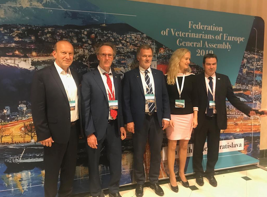 La Asamblea de la Federación de Veterinarios Europeos eligió nueva Junta Ejecutiva