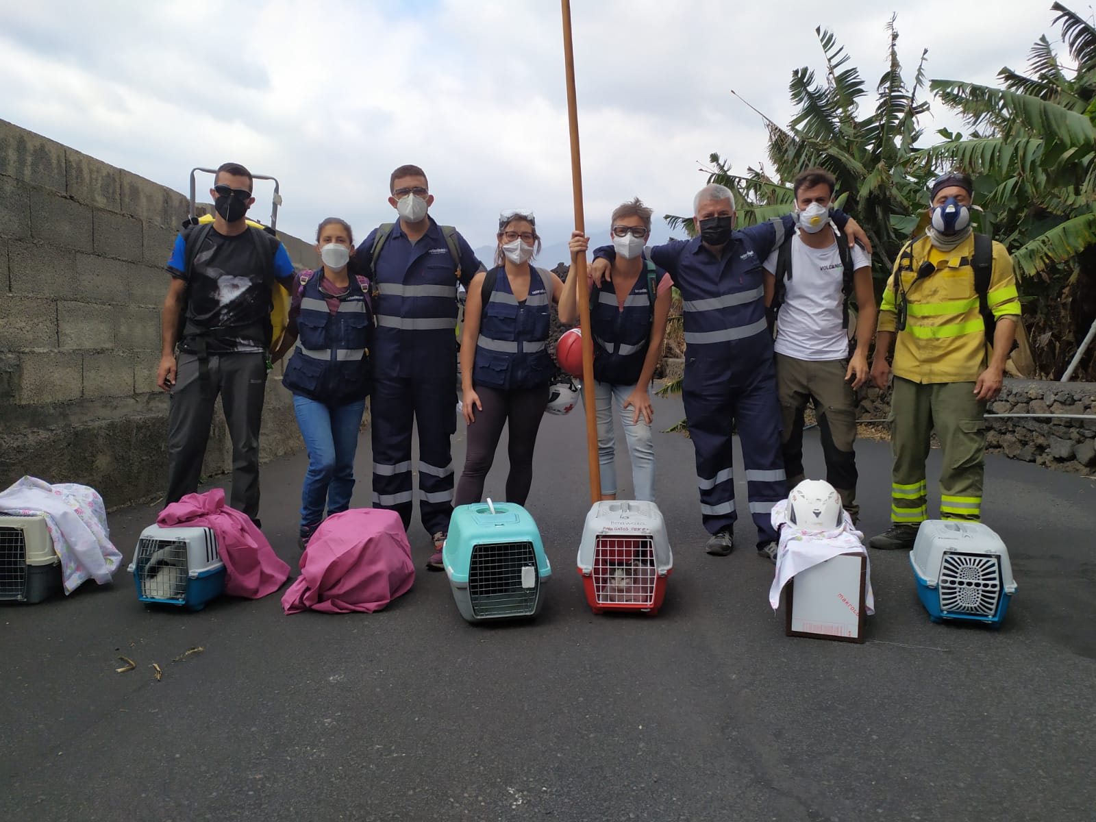 El Ministerio del Interior concede al Colegio de Veterinarios de Tenerife la Medalla al Mérito de la Protección Civil