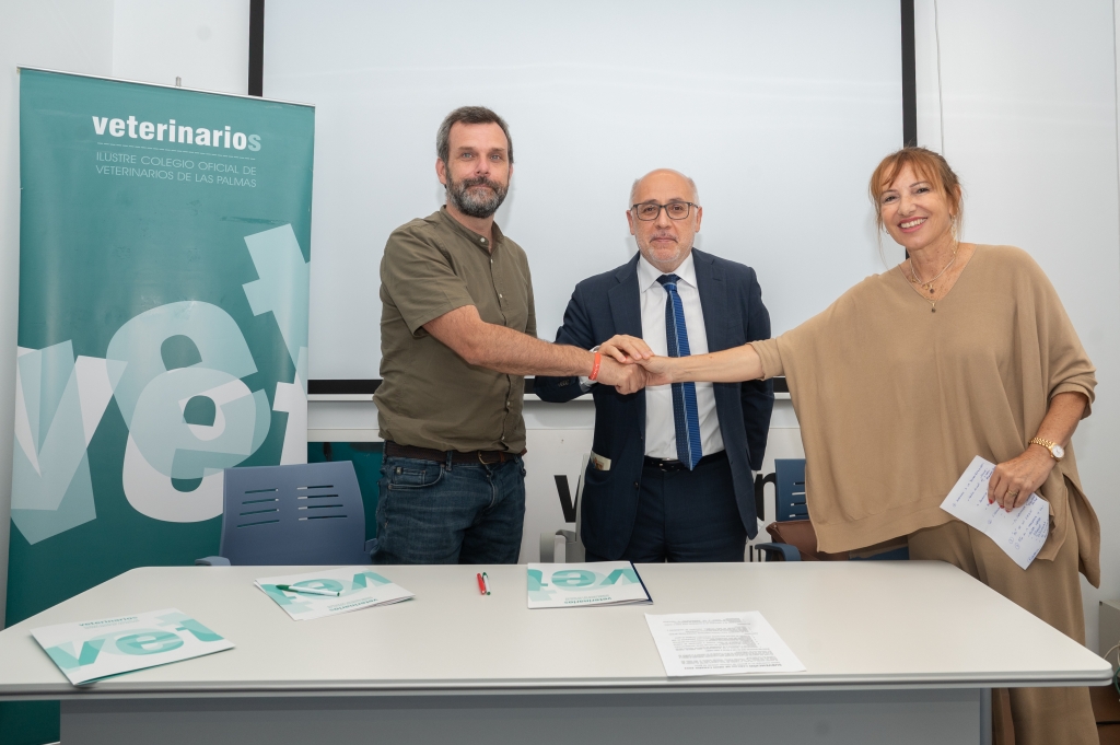 El Cabildo de Gran Canaria y el Colegio de Veterinarios unen esfuerzos para gestionar y controlar las colonias felinas urbanas