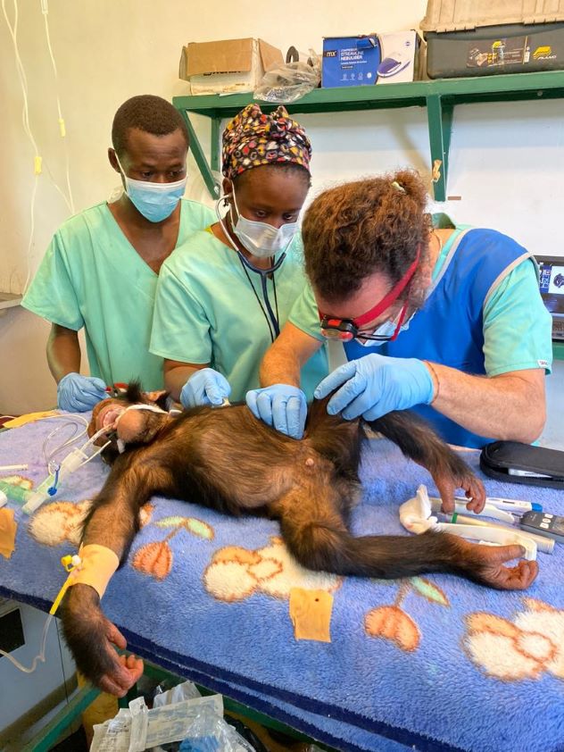 Luis Flores Girón imparte un curso en Las Palmas sobre la conservación de los grandes primates del este de África