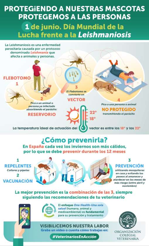 El enfoque One Health-Una Sola Salud resulta imprescindible en la prevención y tratamiento de la leishmaniosis