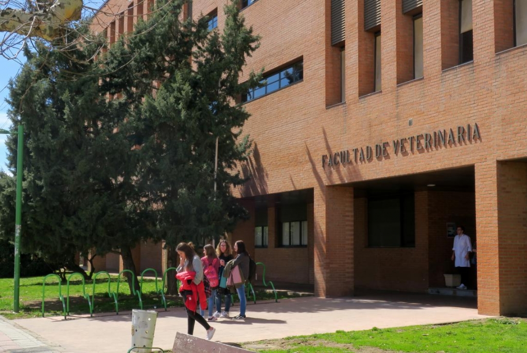 Los veterinarios de Castilla y León apoyan ampliar a seis años el grado para reforzar la formación práctica y alinearse con Europa 