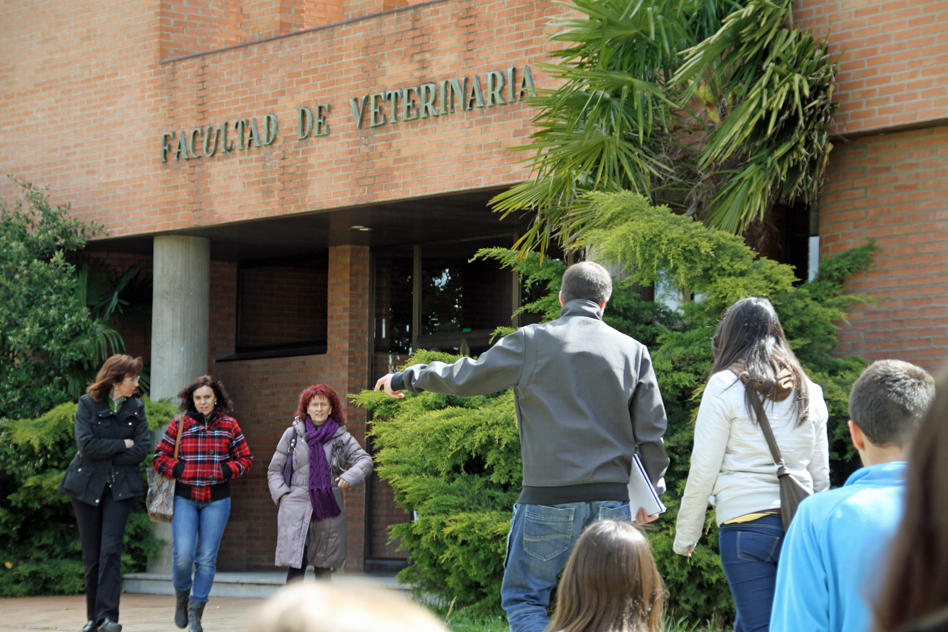 Reflexiones de cinco expresidentes de la Conferencia de Decanos sobre la docencia Veterinaria