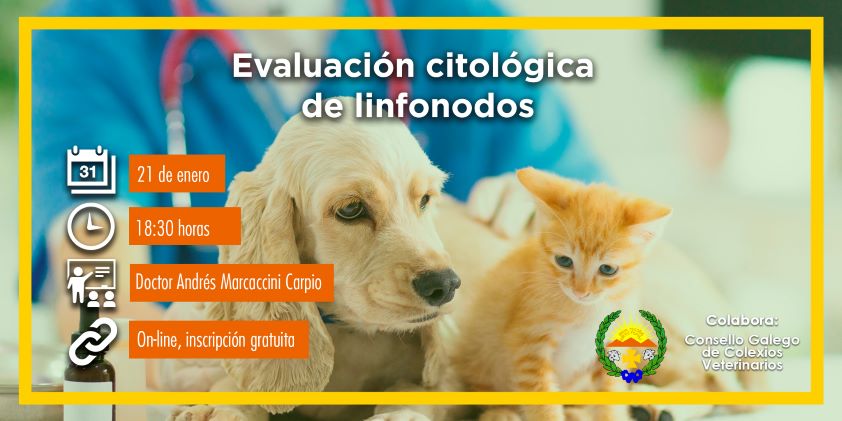Prosigue la intensa agenda formativa del Colegio de Veterinarios de Lugo con seis nuevas sesiones de especialización 