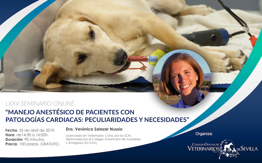 Seminario online "Manejo anestésico de pacientes con patologías cardiacas: peculiaridades y necesidades"