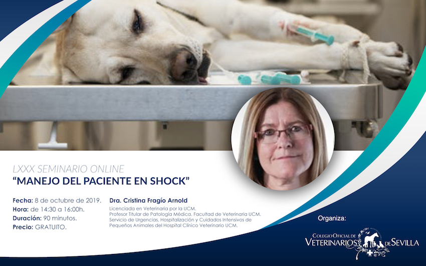 Seminario online “Manejo del paciente en shock”