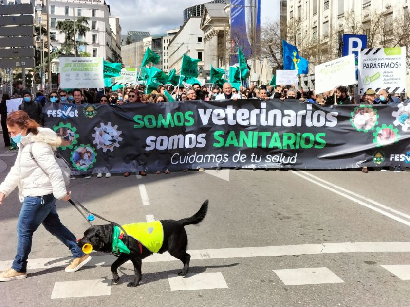  El presidente de FESVET agradece el apoyo a la manifestación y pide al Consejo General “una estrategia común de futuro” para la profesión